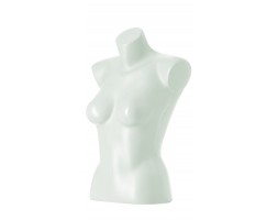 Female Torso